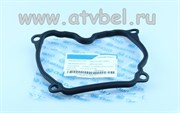 Прокладка крышки головки цилиндра 0800-021002-0001